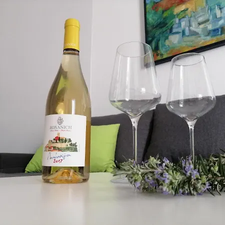 Mirjana Radovic Baška