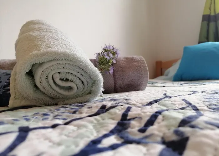 公寓 Mirjana Radovic 巴斯卡