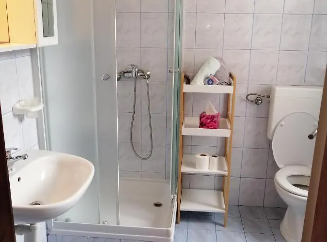 公寓 Mirjana Radovic 巴斯卡