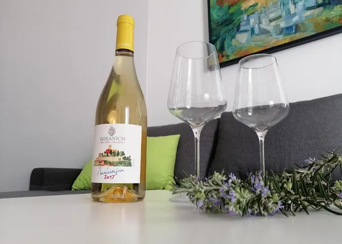 Mirjana Radovic 巴斯卡