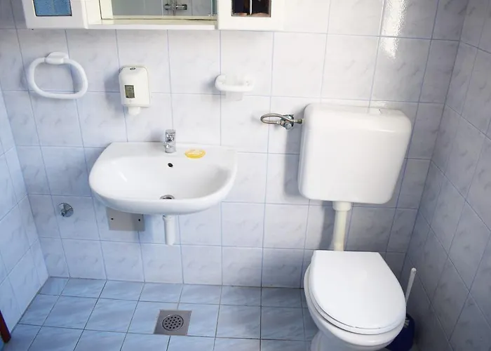 Mirjana Radovic 巴斯卡